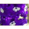 Ostrožka 'Pacific-Serie Giant King Arthur' - Delphinium 'Pacific-Serie Giant King Arthur'