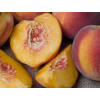 Broskvoň 'Redhaven' - kontejner  Prunus persica 'Redhaven'