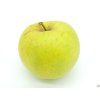 Jabloň 'Sirius' - kontejner  Malus domestica 'Sirius'