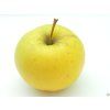 Jabloň 'Sirius' - kontejner  Malus domestica 'Sirius'