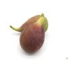 Ficus carica Peretta (2)