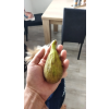 39702 f04f21d872716ed0