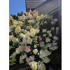 d8fd8449b68d9fcc
