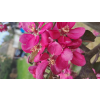 0a41eb914bd54026