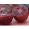 Kiwi 'Purpurna Sadowa'
