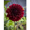 282f13bb694803ac