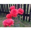 85367 4 85367 4 ruze duftwolke