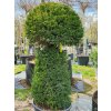 Tis �erven� (Balen� kontejner C90, Tvar v��ka 160-180cm, tvar 'houba')