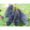 blue banana