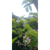 2f0d77555a1e0570