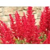 astary red