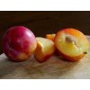Švestkomeruňka 'Pluot Geltiy'