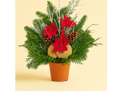 ChatGPT Image 25. 7. 2025 20 58 53