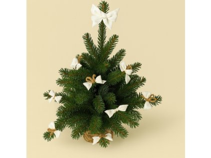 ChatGPT Image 27. 7. 2025 21 02 24