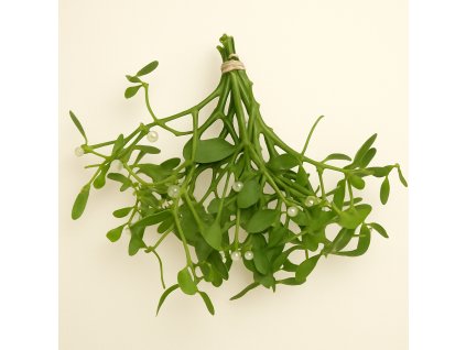 ChatGPT Image 30. 11. 2025 18 28 17