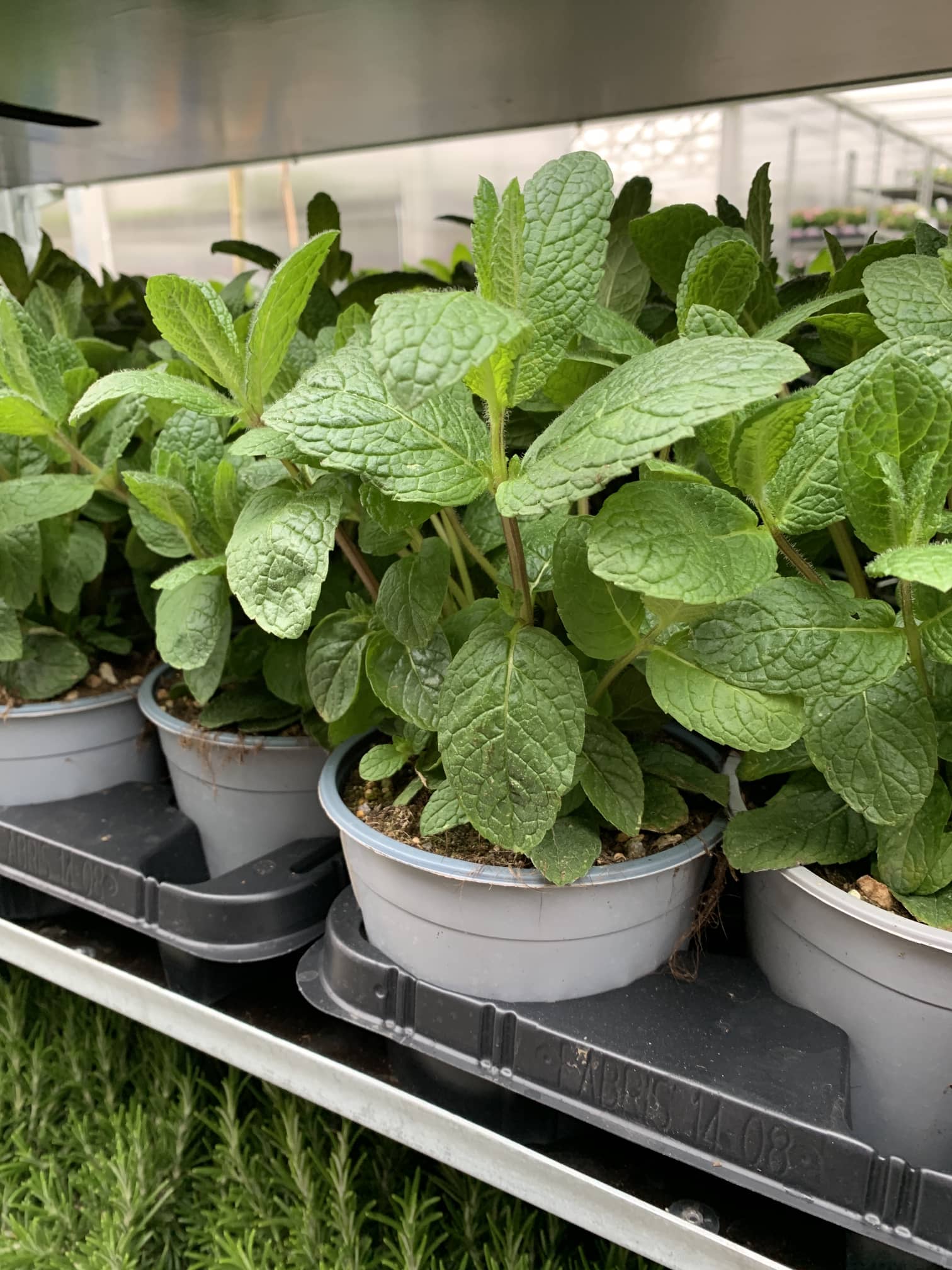 774A3AE3-5249-46ED-AA1F-027E08CF063C