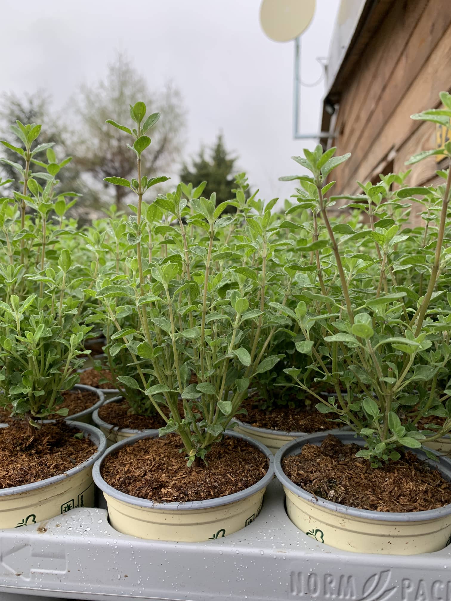 84AAC495-7B4E-4CA6-A082-E2171826497B