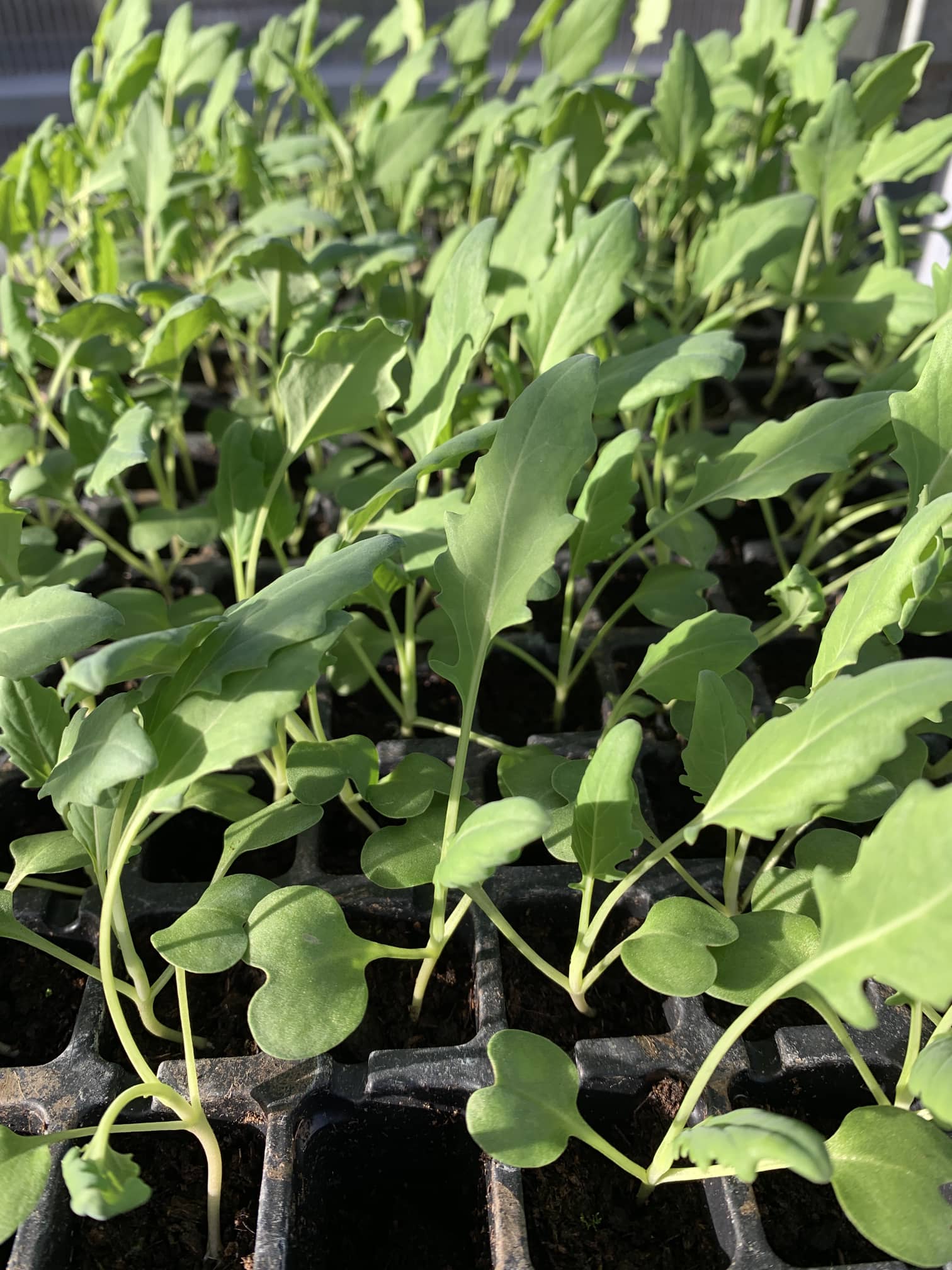 C35770D5-621A-4662-9C34-BC2927E342BF