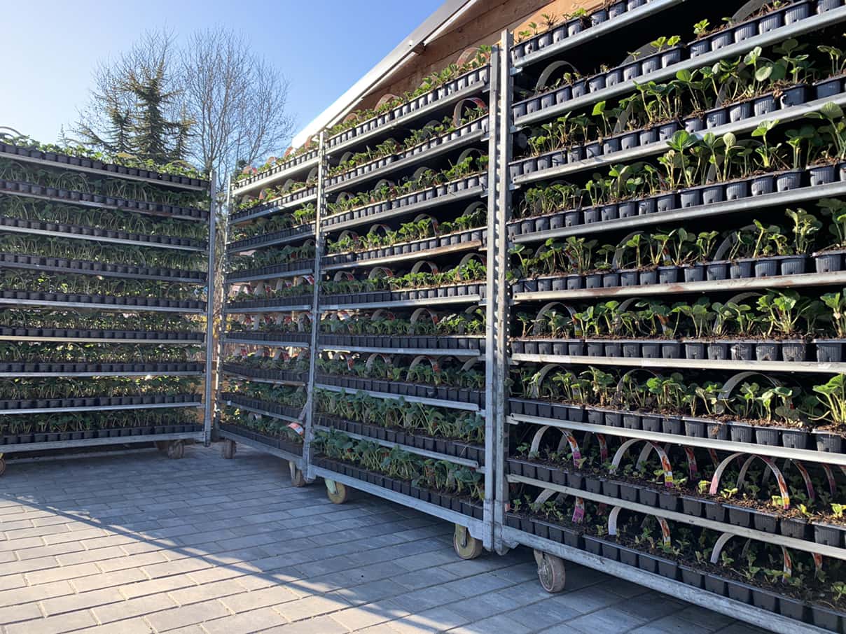 EB0D7AB3-4E49-485C-B721-393098C948CF