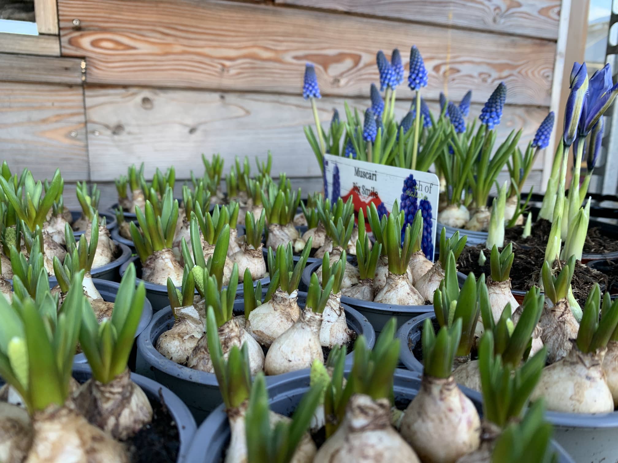 F4557AC2-DC3A-46D0-9062-4B53BD74141D