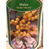 Malus Golden Hornet - okrasná jabloň