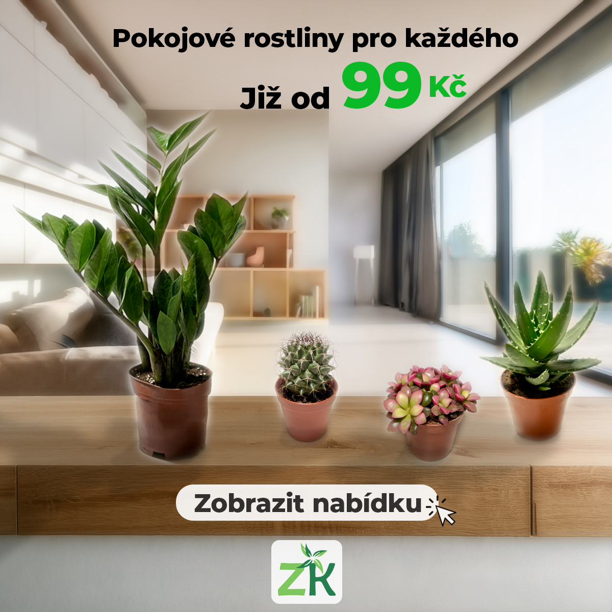 Pokojové rostliny pro každého - Již od 99 Kč