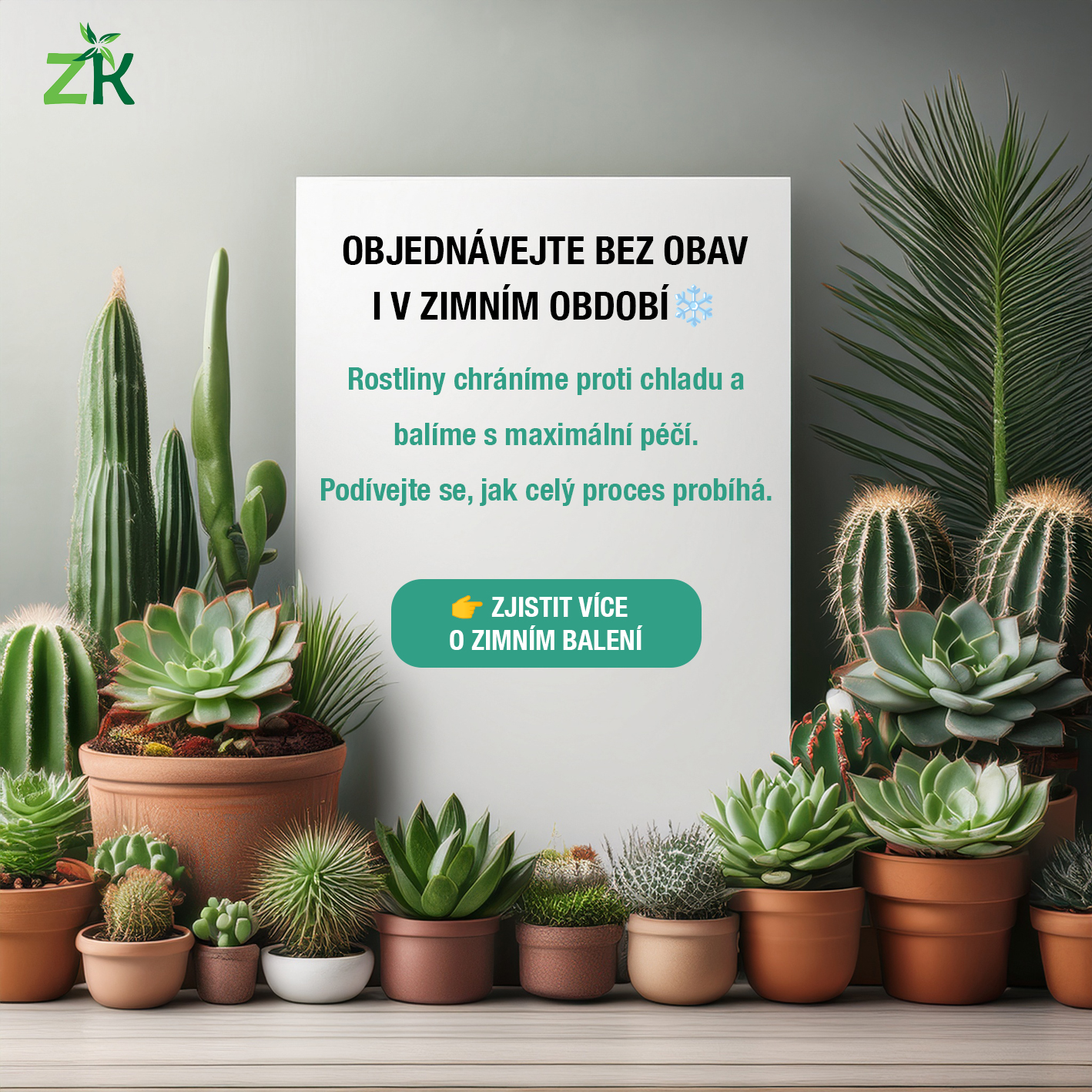 Objednávejte bez obav i v zimním období Rostliny chráníme proti chladu a balíme s maximální péčí. Podívejte se, jak celý proces probíhá. 👉 Zjistit více o zimním balení