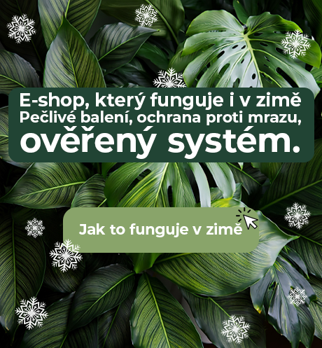 Bezpečné doručení rostlin i v zimě