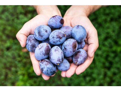 AdobeStock 431044721