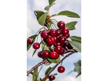 AdobeStock 407818143