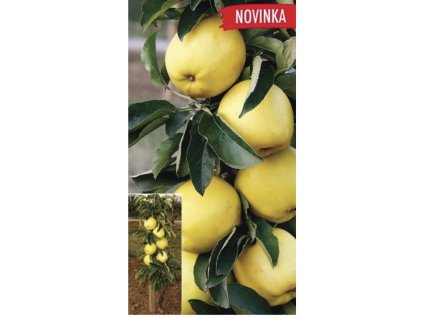 Snímek obrazovky 2025 04 06 v 22.19.55