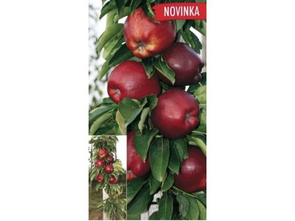 Snímek obrazovky 2025 04 06 v 22.37.08