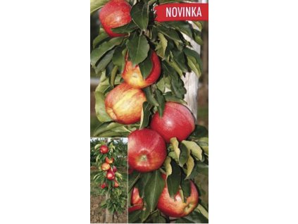 Snímek obrazovky 2025 04 09 v 22.21.04