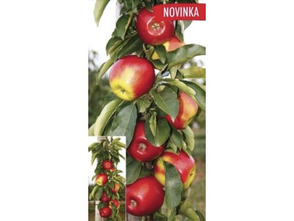 Snímek obrazovky 2025 04 09 v 22.27.05