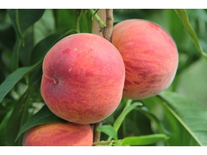 AdobeStock 139667752