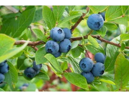 AdobeStock 125757409