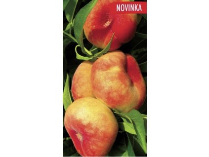 Snímek obrazovky 2025 02 23 v 20.05.36