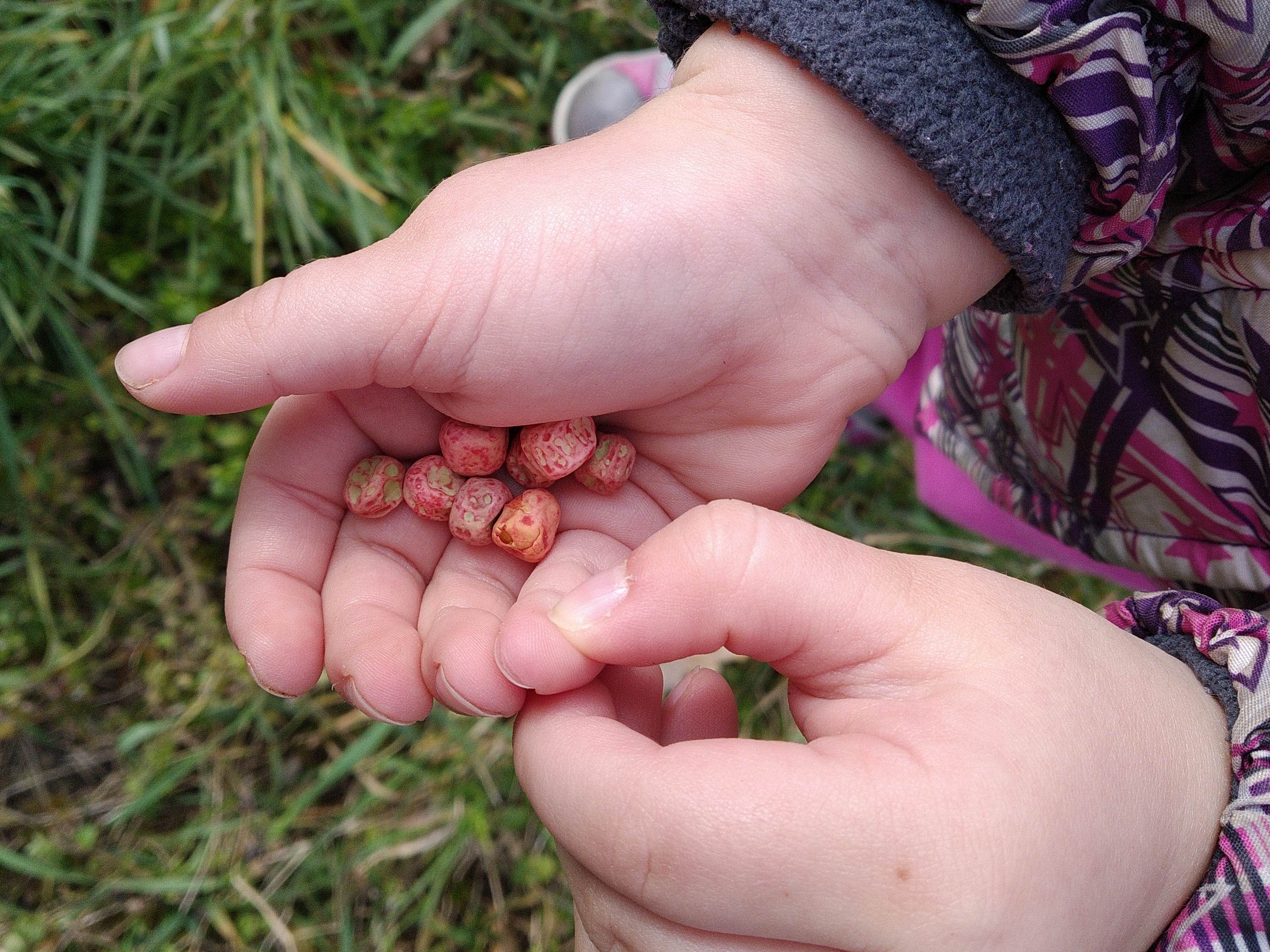 S dětmi na zahradě