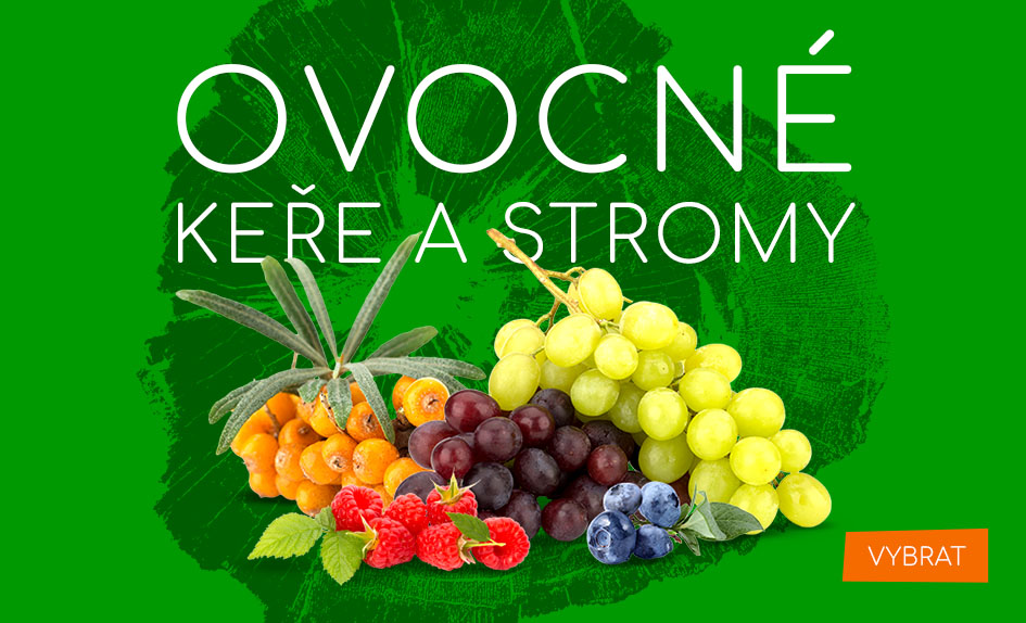 ovocné stromy a keře