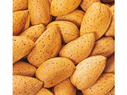 Mandloň 'Filippo Ceo'2