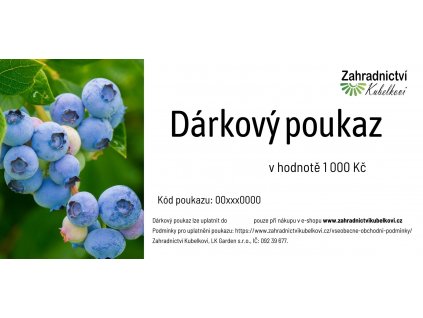1 000 Kč