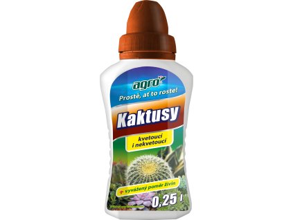 kaktusy