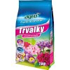 trvalky