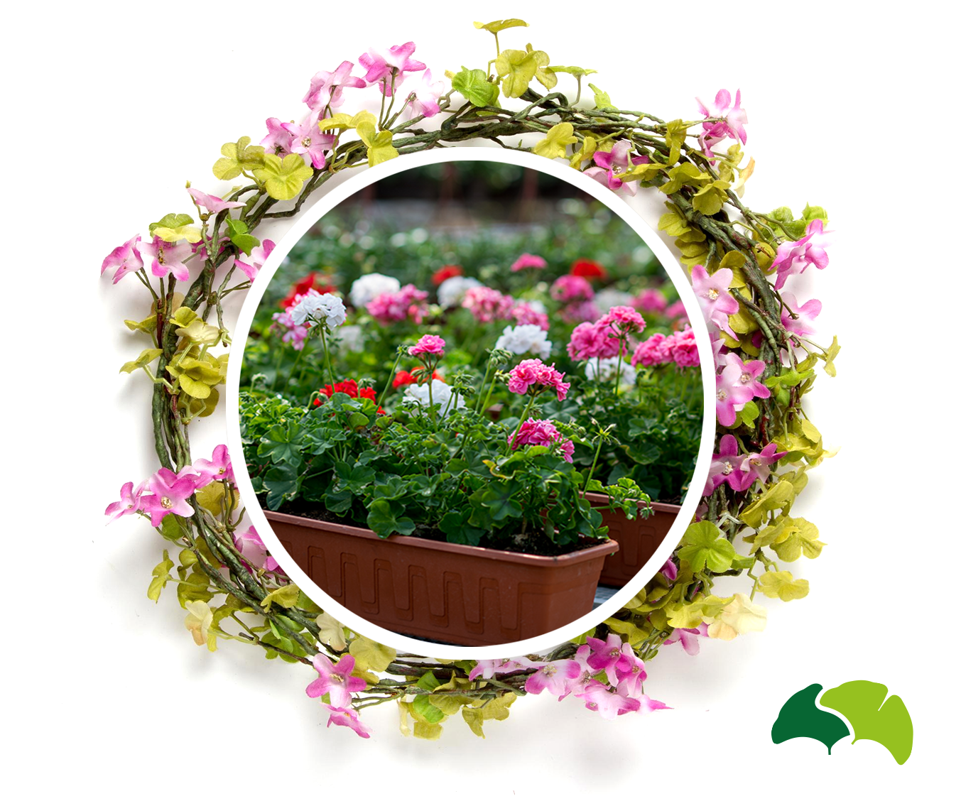 Balkónové květiny