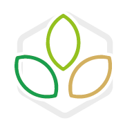 Šťastné rostliny – pěstujeme v Ústí nad Orlicí.