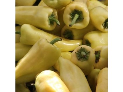 Amy sladká paprika - sadenice