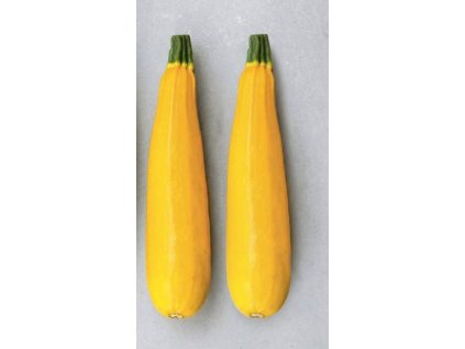 Cuketa Goldy - vrúbľovaná sadenica