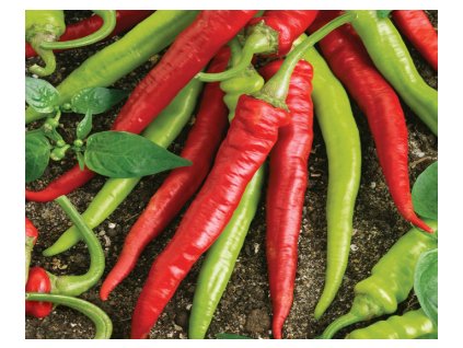 Paprika kozí roh sladký " Artist "