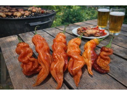 1771177008 a9e5a6a6 4b4e 4ad7 a8a4 a3fc033b30c7