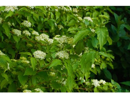 profimedia 0287617775